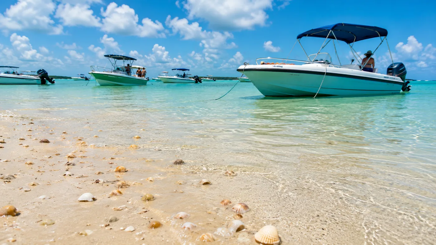 Sandbar tours