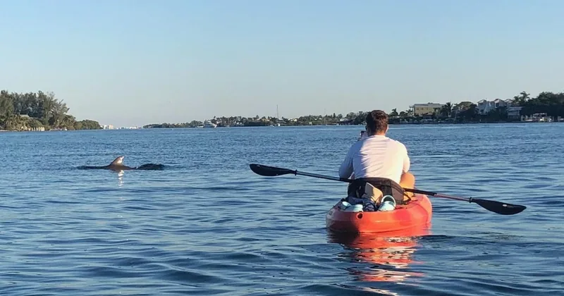 Anna Maria Island: Sunset Dolphin Cruise
